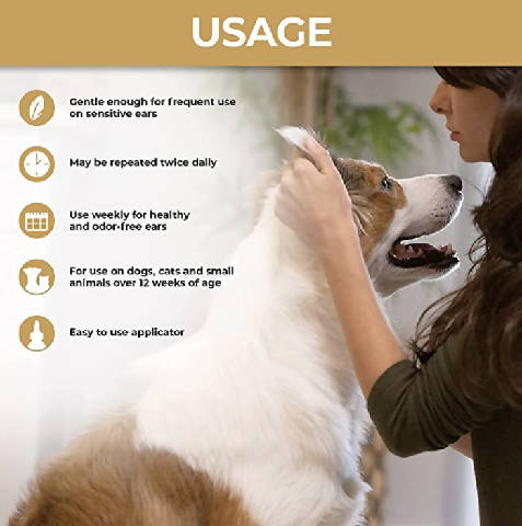 Terapia de ouvido de cuidados clínicos veterinários