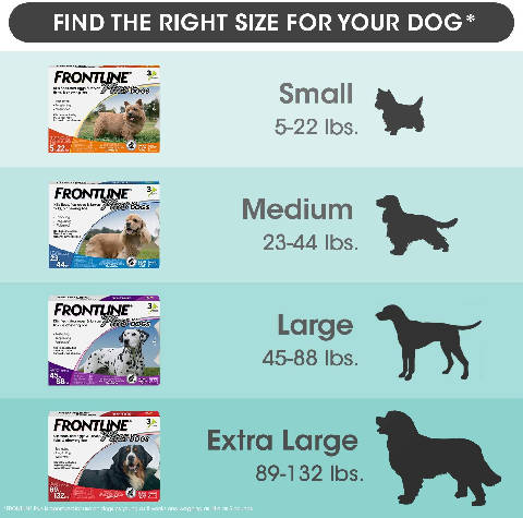 FRONTLINE Plus Tratamento de pulgas e carraças para cães 20-40 kg