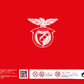 Puzzle Sport Lisboa e Benfica, 1000 peças