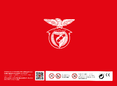 Puzzle Sport Lisboa e Benfica, 1000 peças